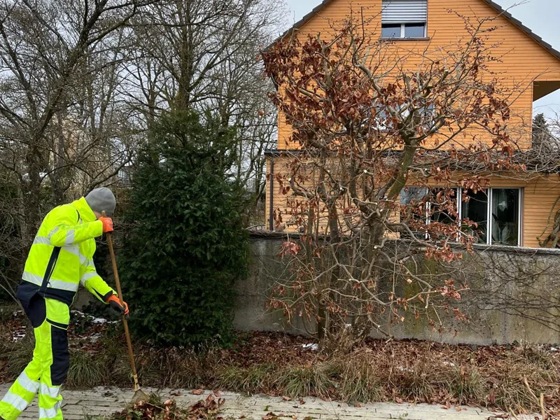 Winterschnitt.jpg